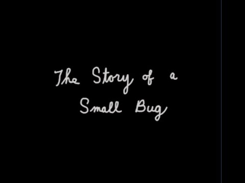 THE STORY OF A SMALL BUG