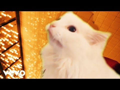 The Weeknd - Blinding Lights - Cat Cover
