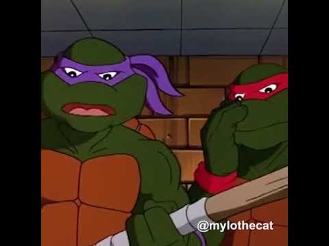Beastie Boys | Get It Together | Teenage Mutant Ninja Turtles Mashup