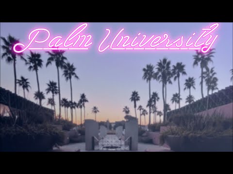 PALM UNIVERSITY (Vaporwave Video Mix)