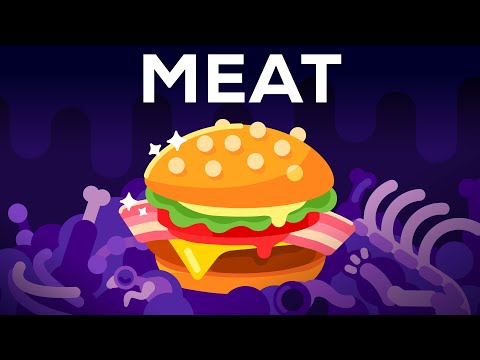 Why Meat is the Best Worst Thing in the World 🍔