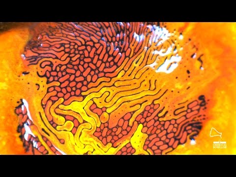 Ferrofluid - Colored II - Chemical Bouillon