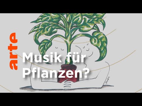 Mögen Pflanzen wirklich Musik? | Kultur erklärt - Flick Flack | ARTE