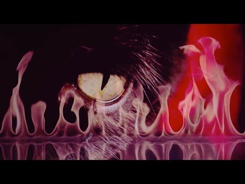 JOHNNY JEWEL &quot;WINDSWEPT&quot; (Official Video)