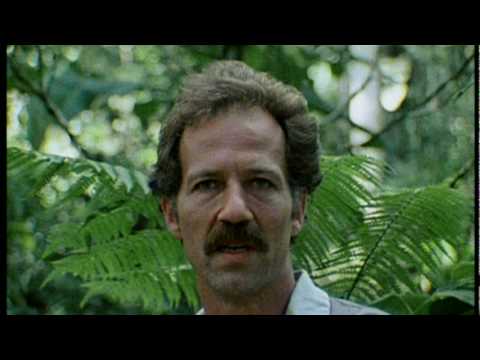 Werner Herzog on Nature...