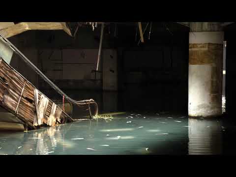 What a wonderful world by Louis Armstrong (but in a flooded abandoned mall)