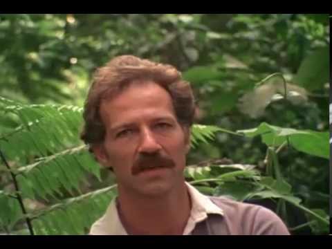 Werner Herzog: There is no harmony in the universe