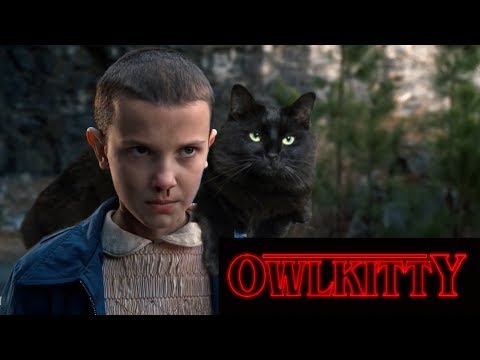 Stranger Things - with a Cat