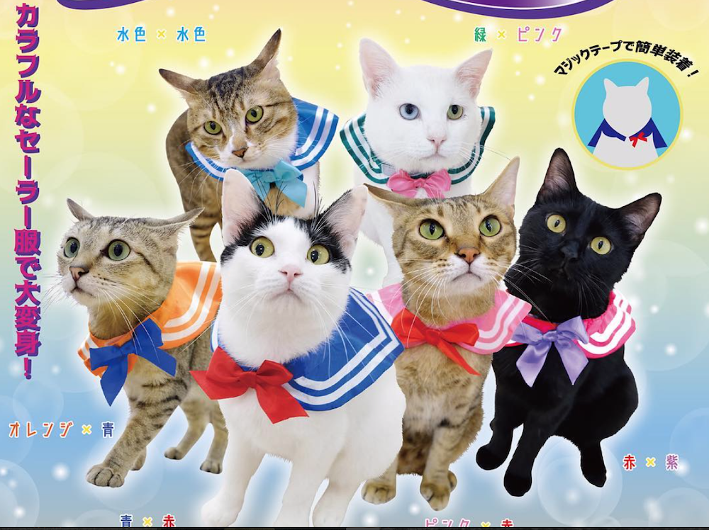 Sailor Moon Suits for Cats