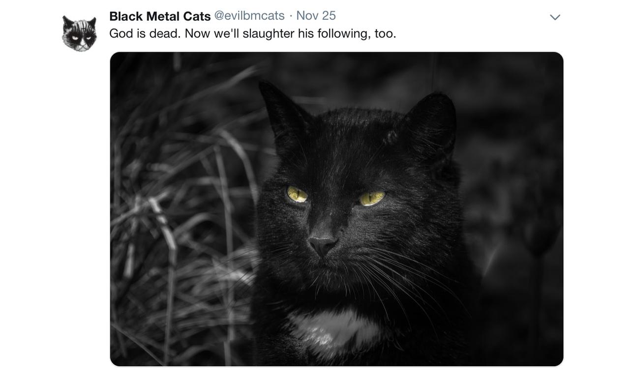 Black Metal Cats