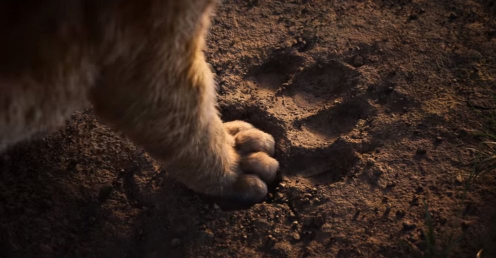 Teaser zu Disney's 'The Lion King Live Action Movie