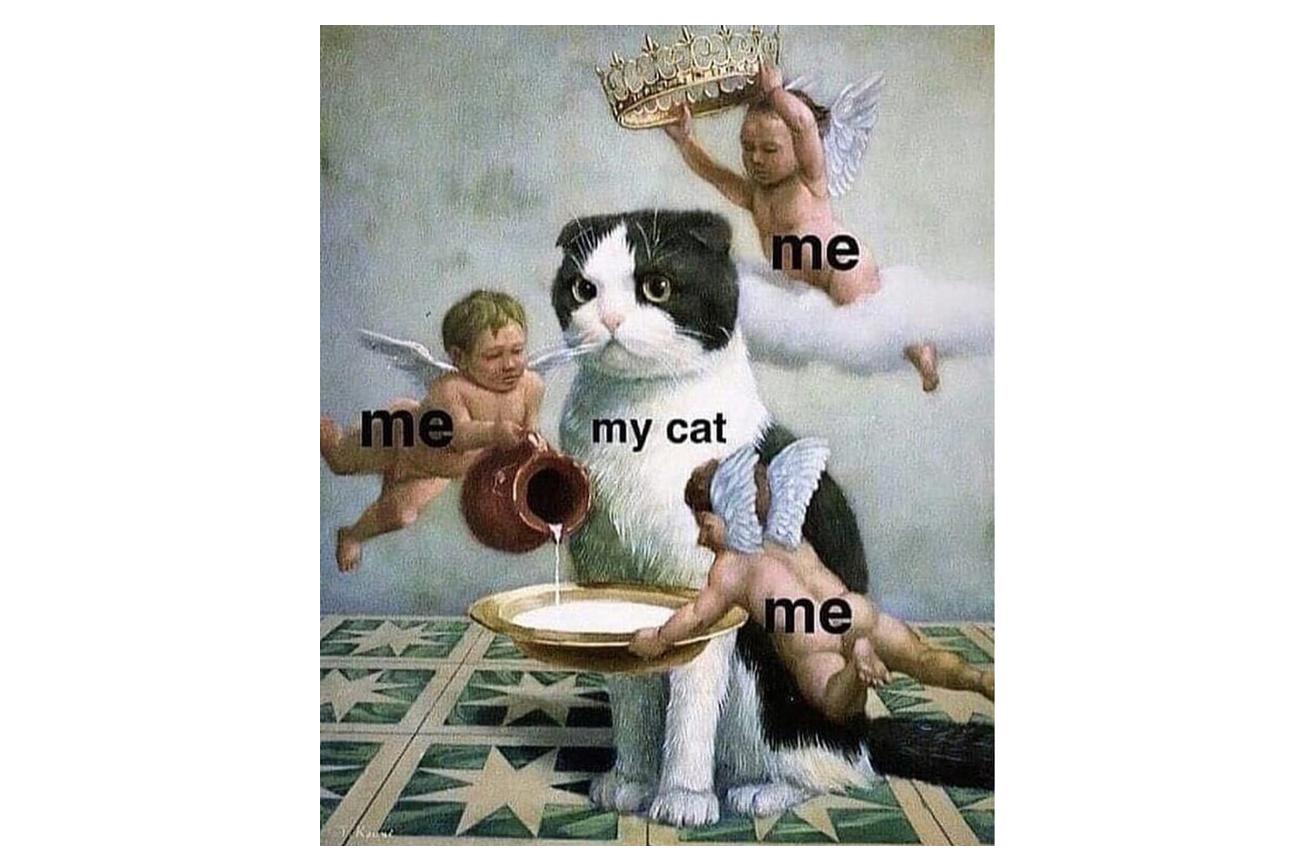 Me, Me, Me, My Cat
