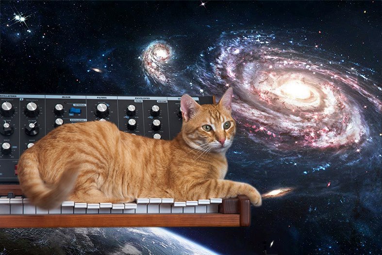 CATS ON SYNTHESIZERS IN SPACE
