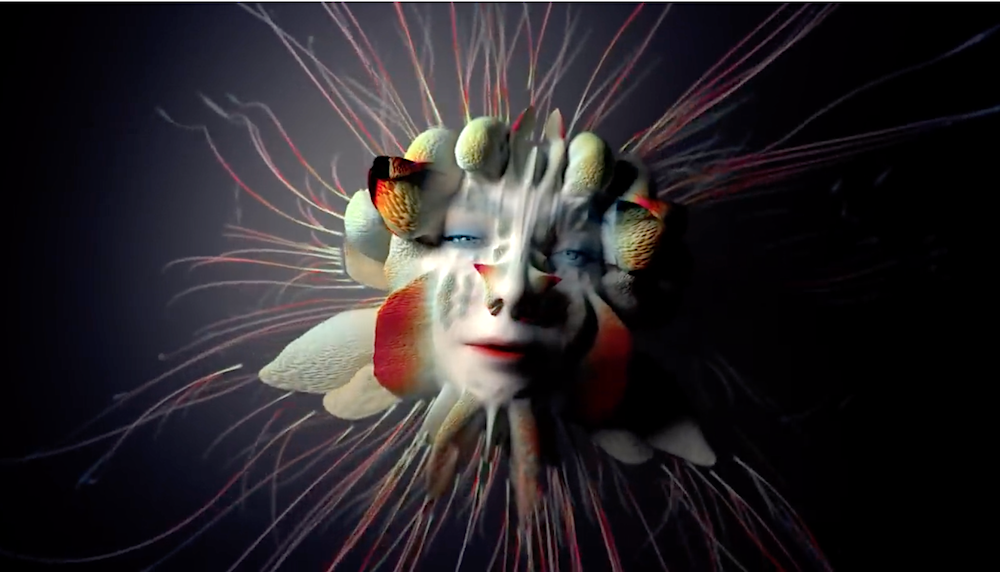 Björk: Tabula Rasa