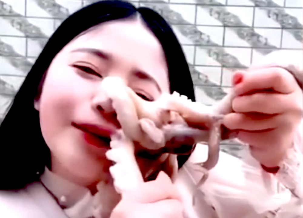 Octopus sucks hard on chinese girl's face because she wanted to eat him alive