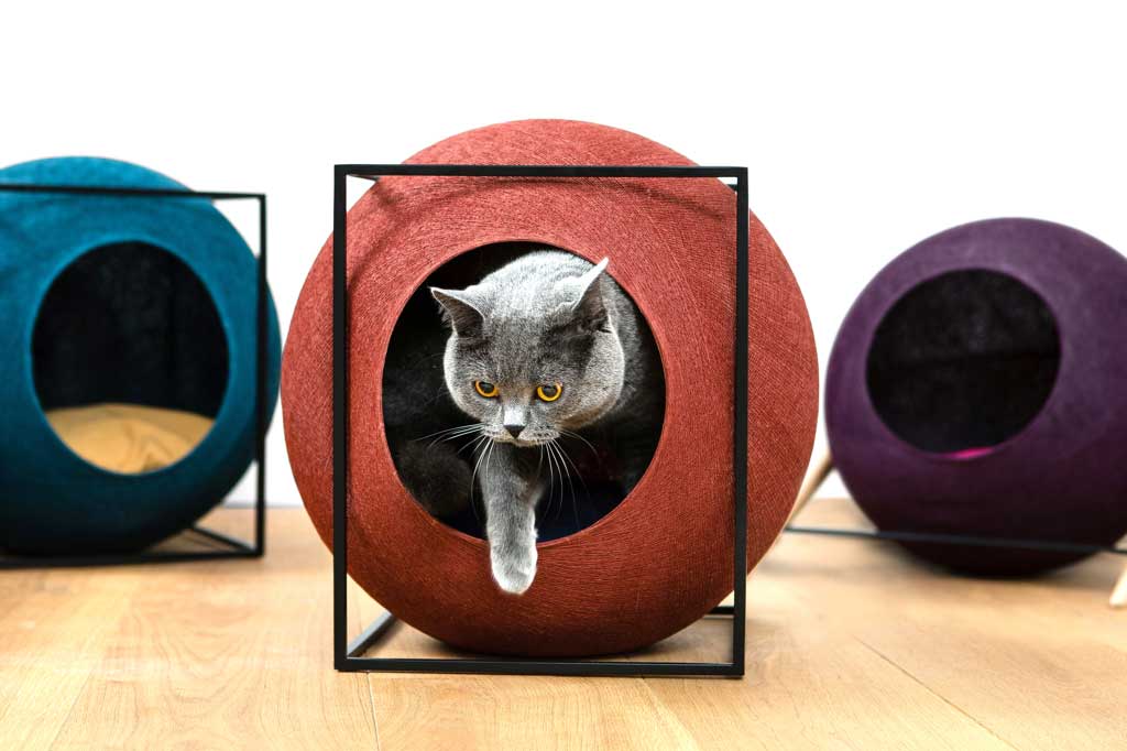Classy Curniture for Discerning Cats ?