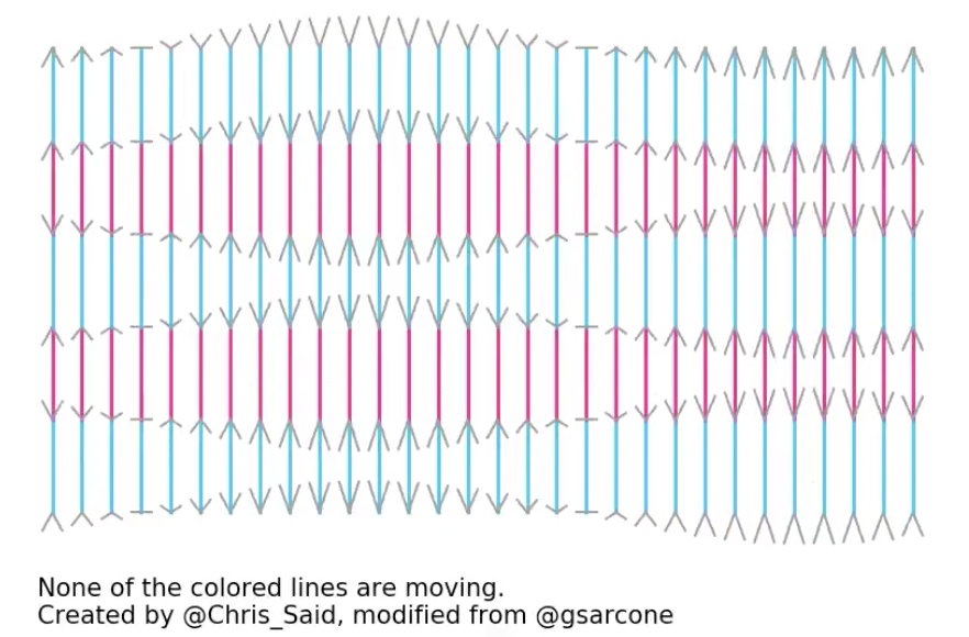 None of the colored lines are moving ?
