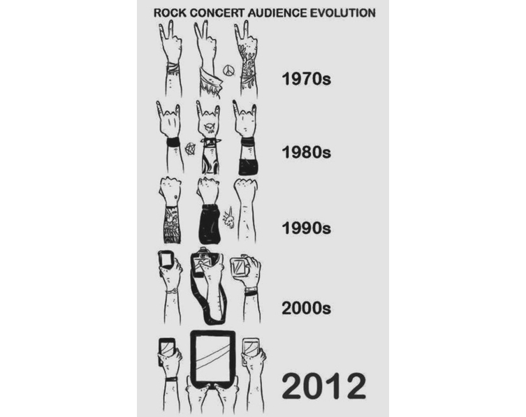 Rock Concert Audience Evolution