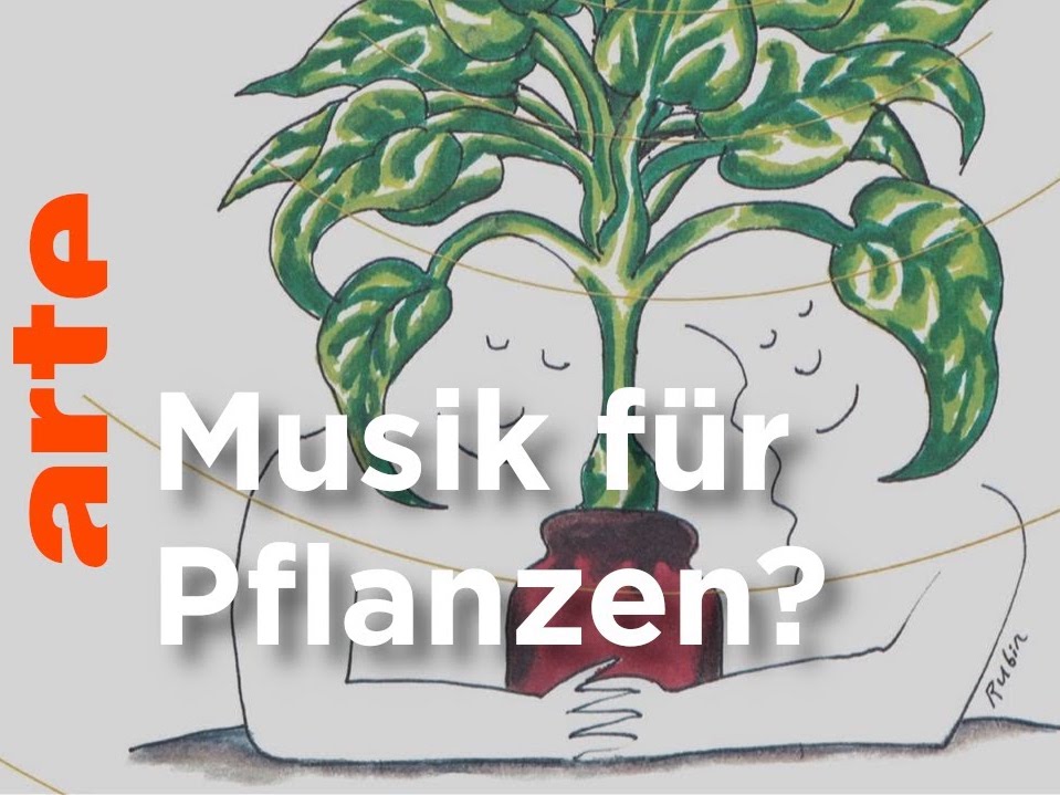 Do Plants like Music?