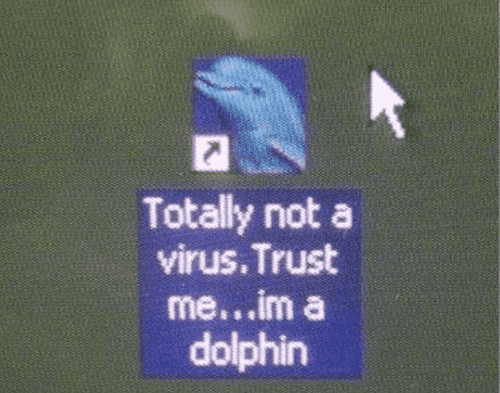 Trust Me...i'm a dolphin