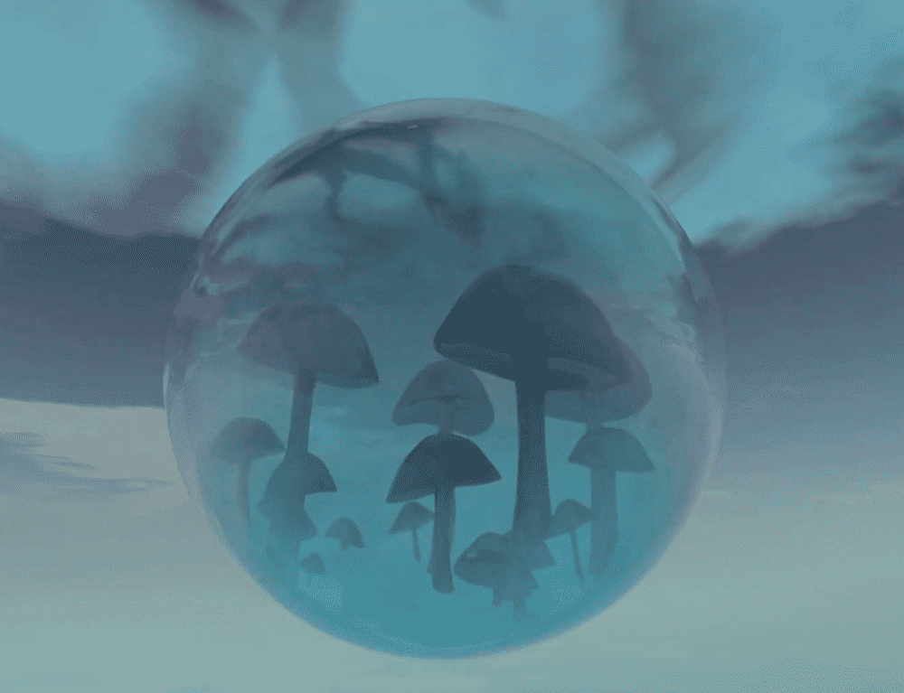 Mushrooms in a Glass Orb